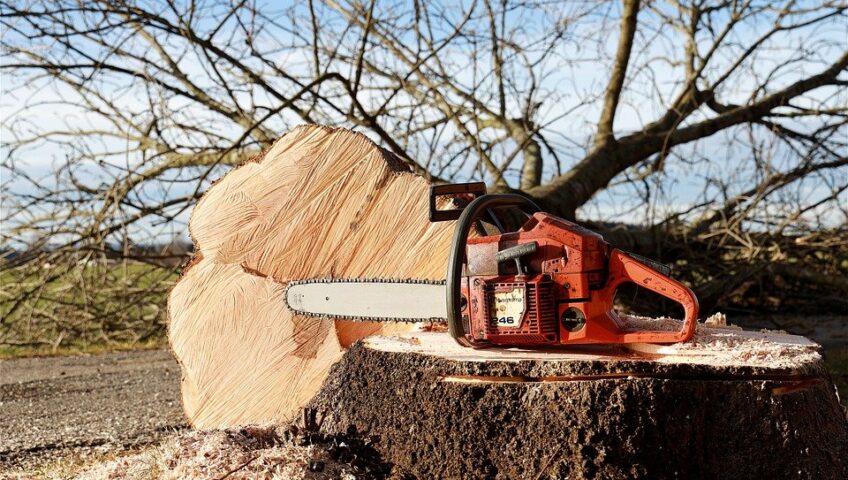 Stump Removal