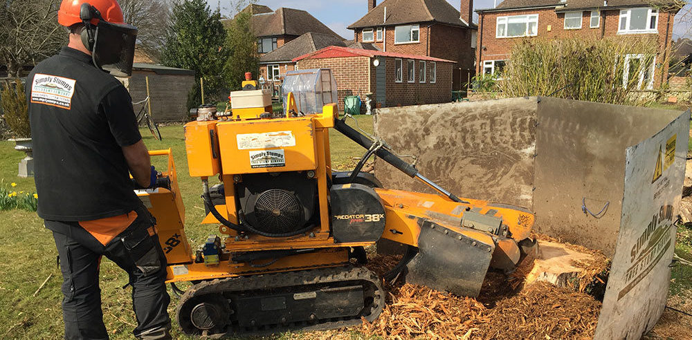 Stump Removal